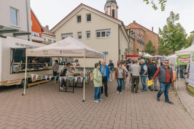 Naturpark-Kochschul-Bus mit Pavillion auf einem Naturpark-Markt
