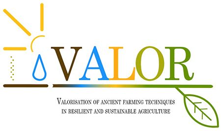 Logo Valor