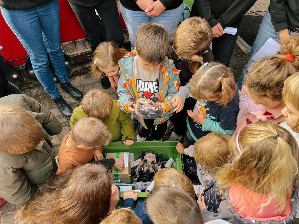 Kinder packen die Naturpark-Entdeckerkiste aus.