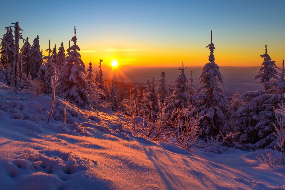 verschneite Winterlandschaft